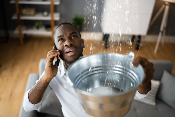 Best Water damage restoration services  in Shepherdsville, KY
