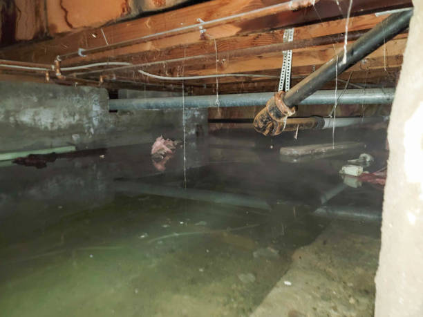  Shepherdsville, KY Water damage restoration Pros