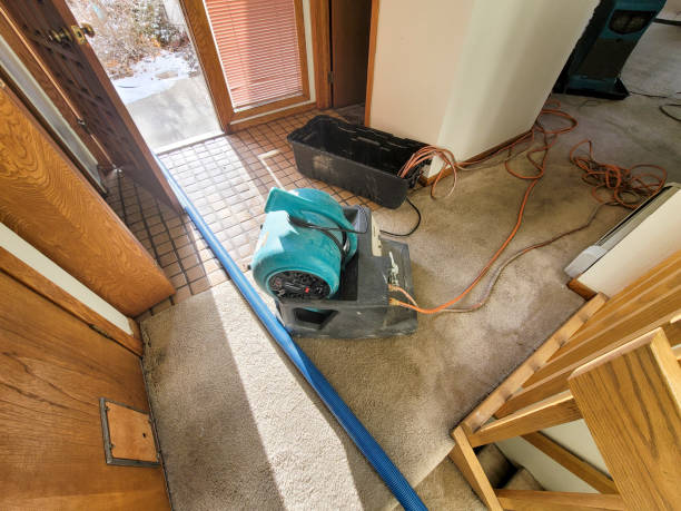 Best Emergency water damage restoration  in Shepherdsville, KY