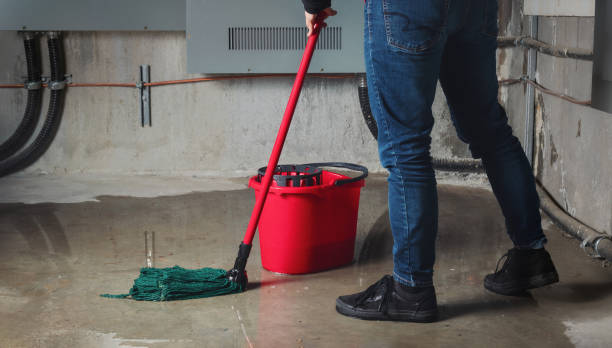 Best Basement water damage restoration  in Shepherdsville, KY